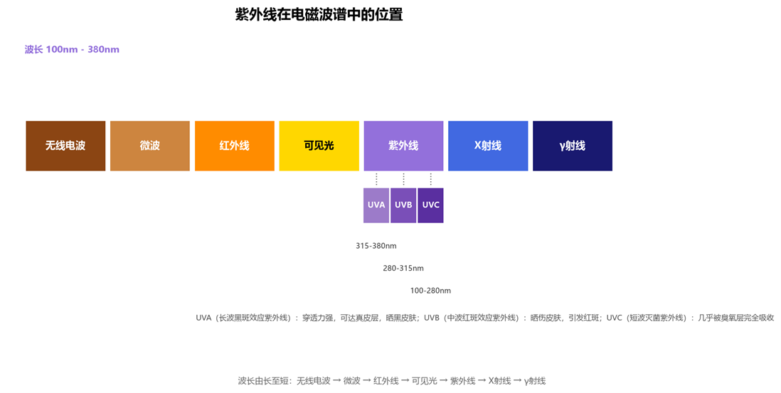 紫外线的位置 紫外线的位置